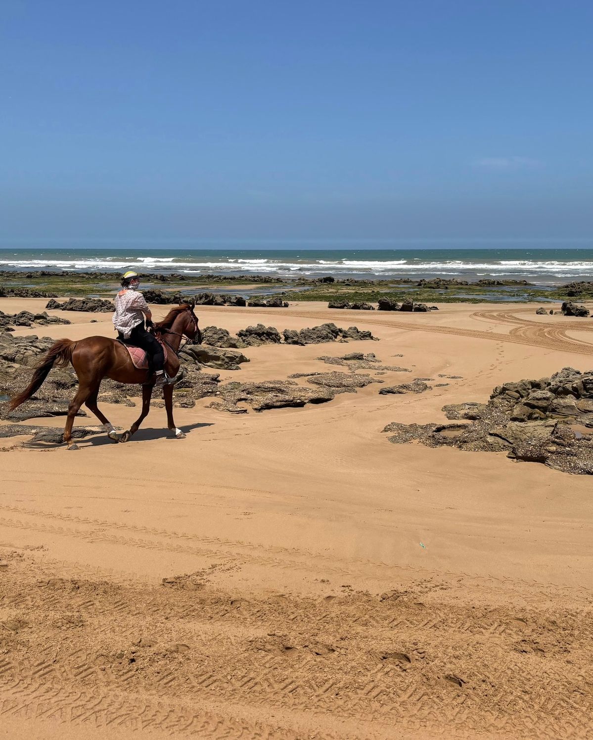 1 hour beach horse ride